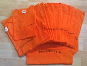 TSG Sehma e.V.